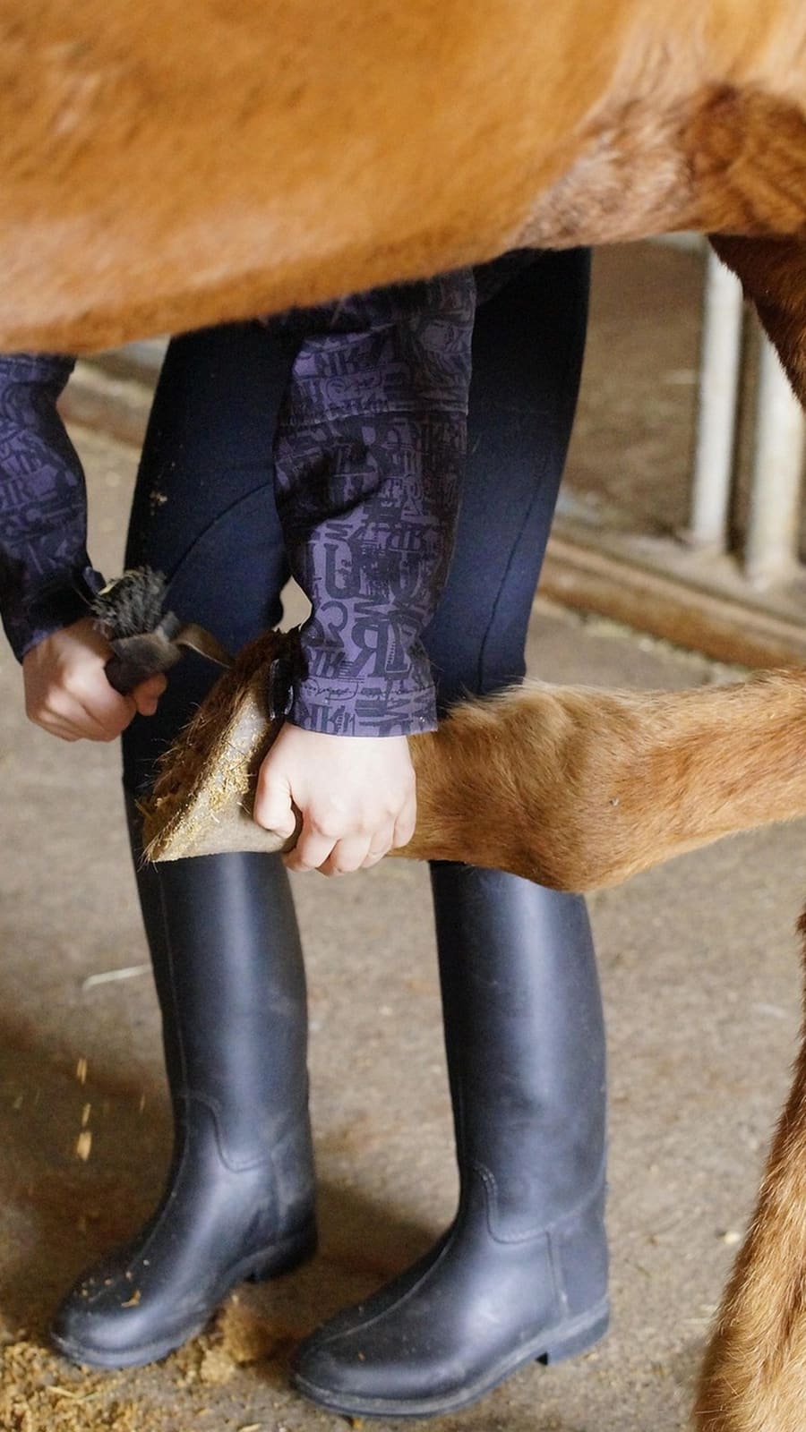 Alumno limpiando el casco de un caballo, parte del cuidado cotidiano