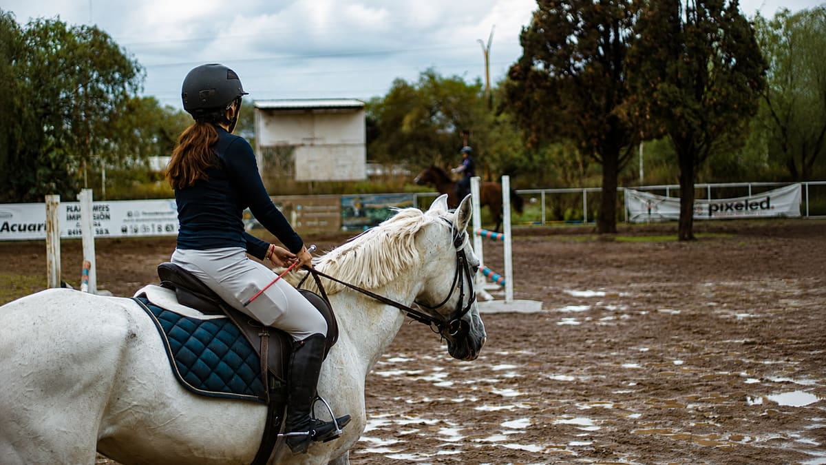 Jinete de espaldas sobre una yegua blanca en una arena de entrenamiento